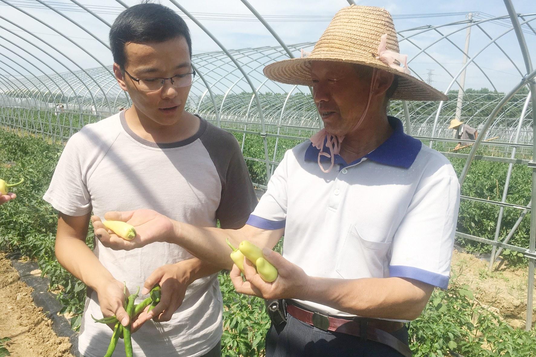 返乡种菜专家帮忙 脱贫致富路越走越宽