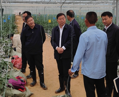 徐兵赴兴国县调研乡村振兴工作，怀远蔬菜产业成焦点