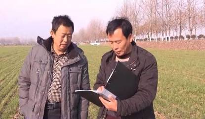 怀远县徐圩乡 以“一户一块田”改革为笔，绘就“怀远蔬菜”产业脱贫新画卷