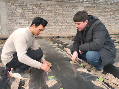 育苗基地甜瓜育苗忙，怀远蔬菜播撒致富新希望